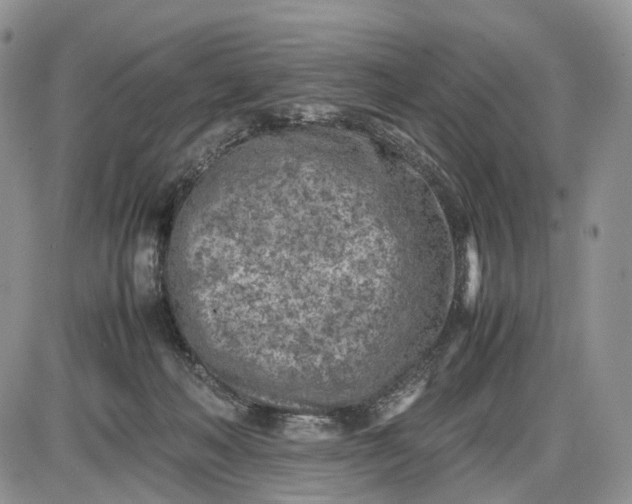 X0000085010222200703191124