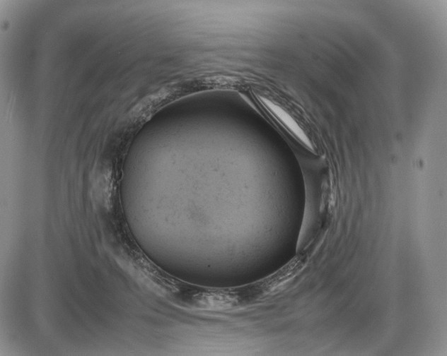 X0000085010223200703191124