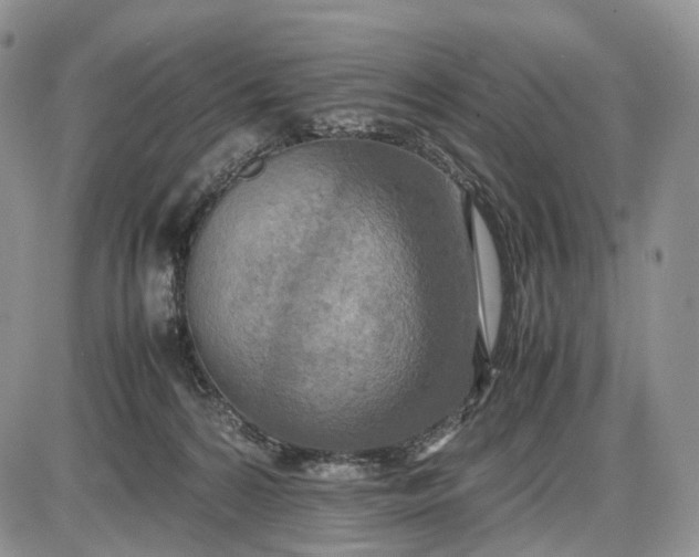 X0000085010224200703191124