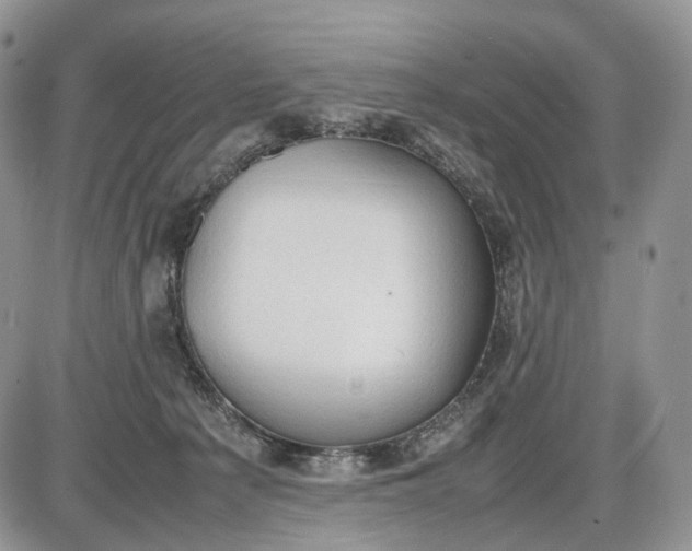 X0000085010225200703191124