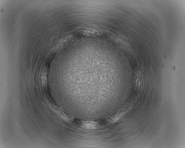 X0000085010226200703191124