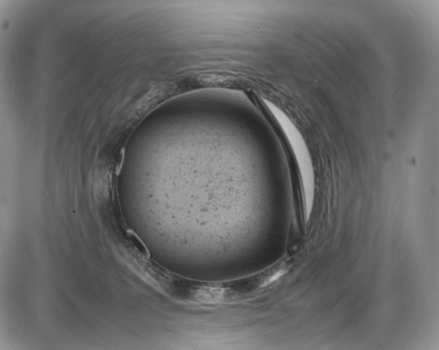 X0000085010227200703191124