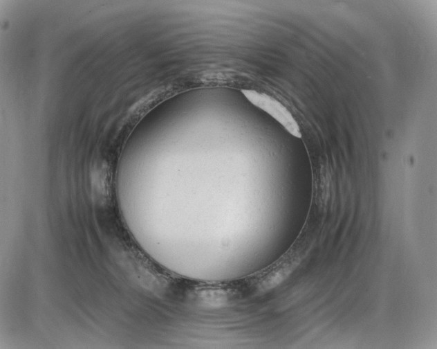 X0000085010228200703191124