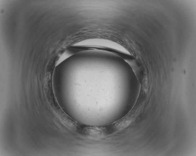 X0000085010229200703191124