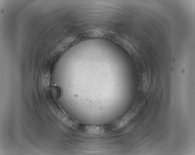 X0000085010230200703191123