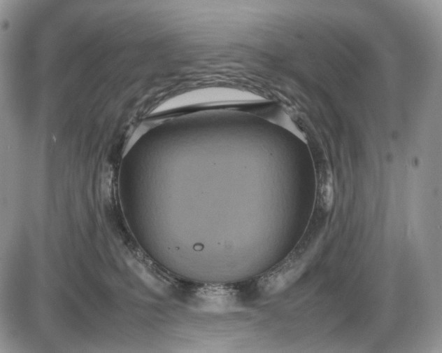 X0000085010231200703191123