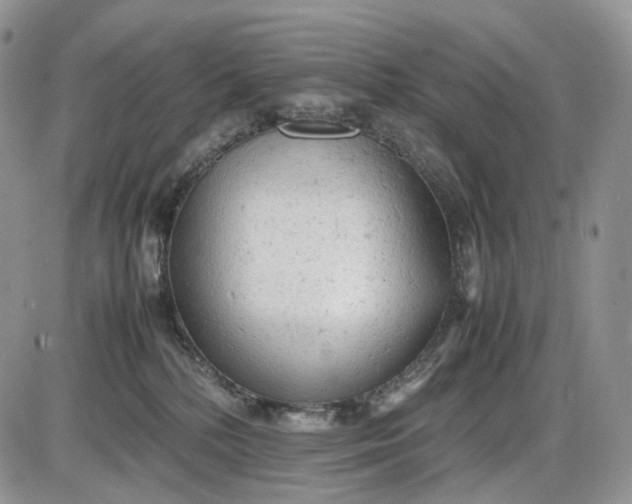 X0000085010232200703191123