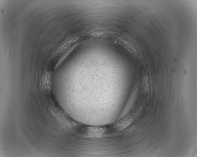 X0000085010234200703191123