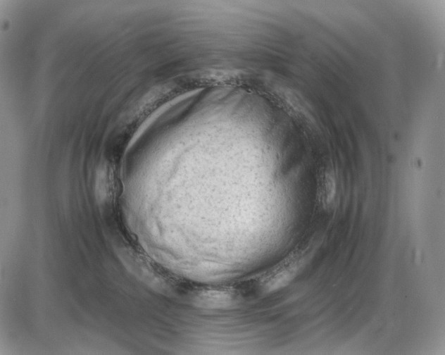 X0000085010236200703191123