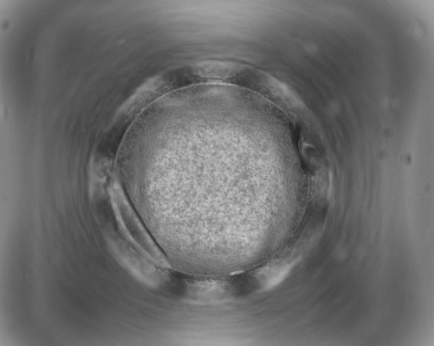 X0000085010237200703191123