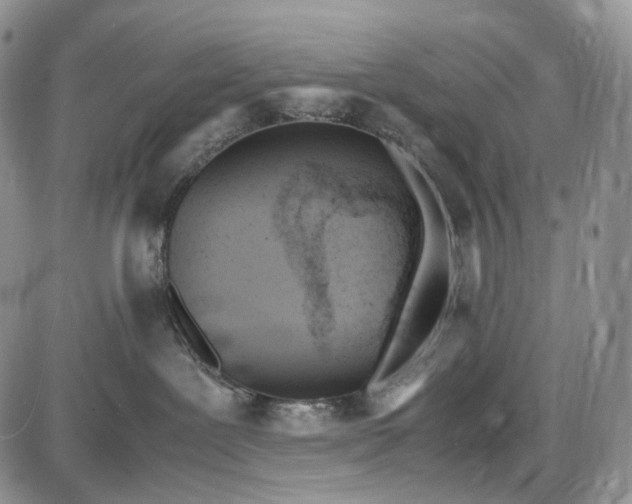 X0000085010239200703191123