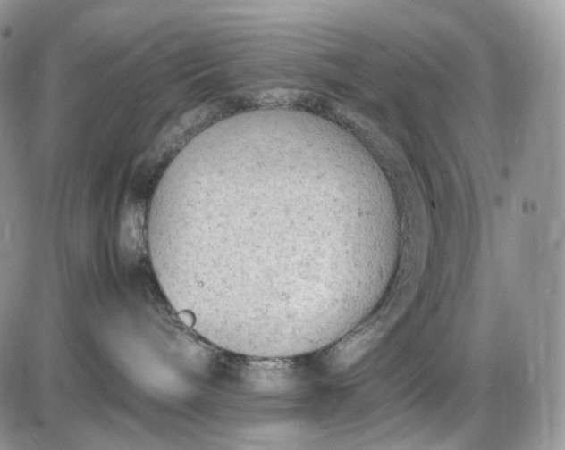 X0000085010240200703191123