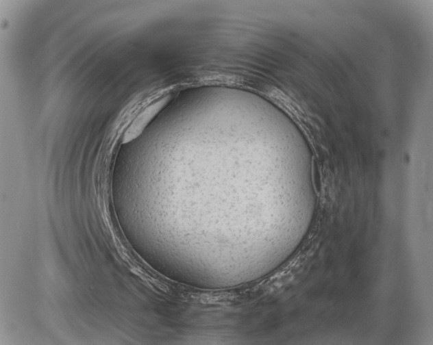 X0000085010241200703191123