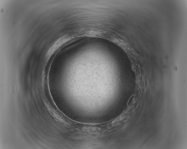 X0000085010242200703191123