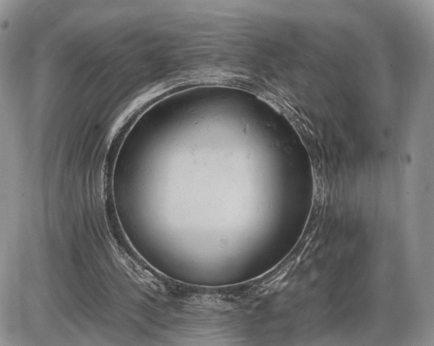 X0000085010244200703191123