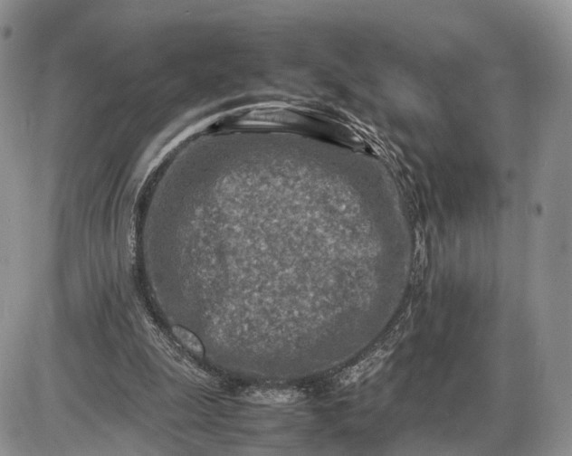 X0000085010247200703191123