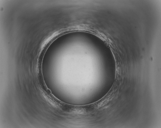 X0000085010248200703191123