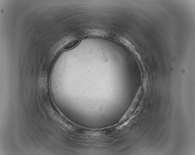 X0000085010249200703191123