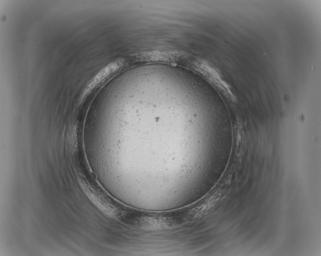 X0000085010250200703191123