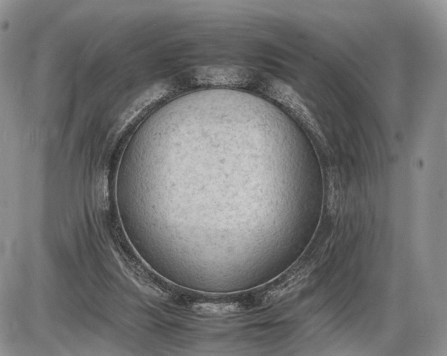 X0000085010251200703191123