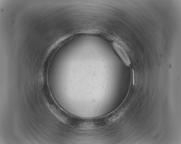 X0000085010252200703191123