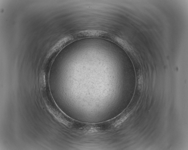 X0000085010254200703191123