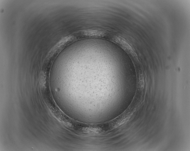 X0000085010255200703191123