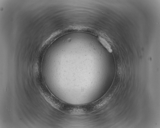 X0000085010256200703191123