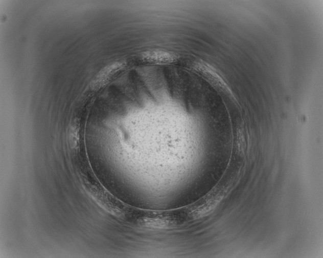 X0000085010259200703191123