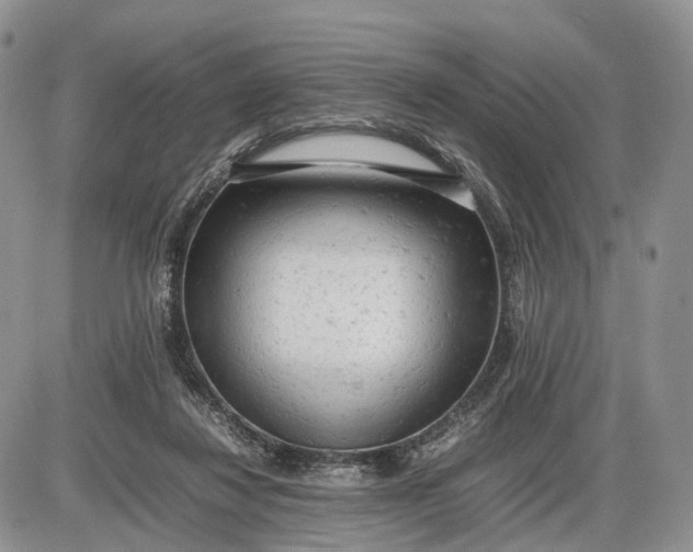 X0000085010260200703191123