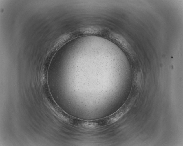 X0000085010261200703191123