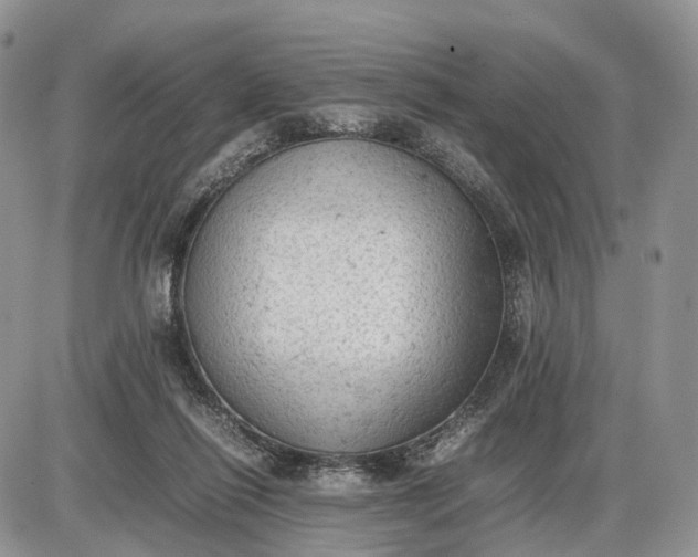 X0000085010262200703191123