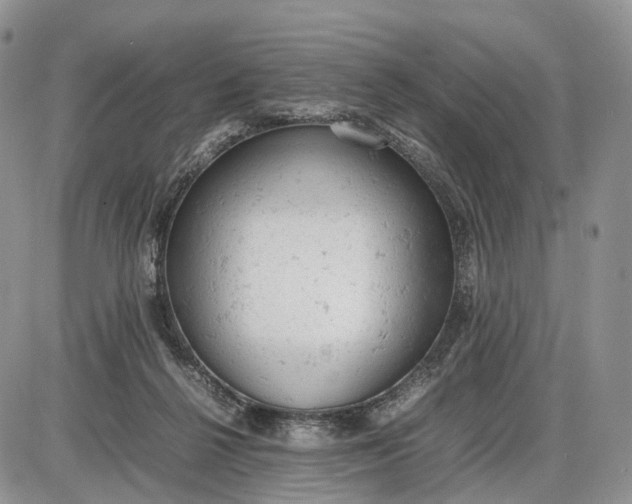 X0000085010264200703191123