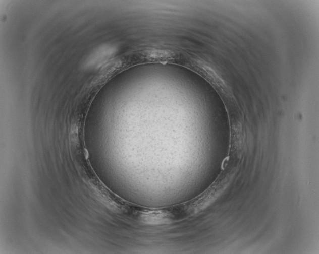 X0000085010269200703191123