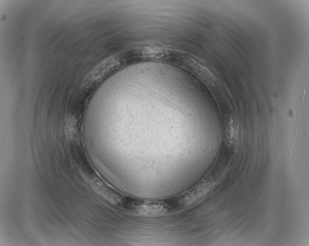 X0000085010270200703191123