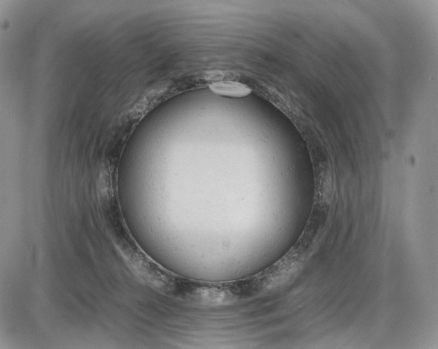 X0000085010272200703191123