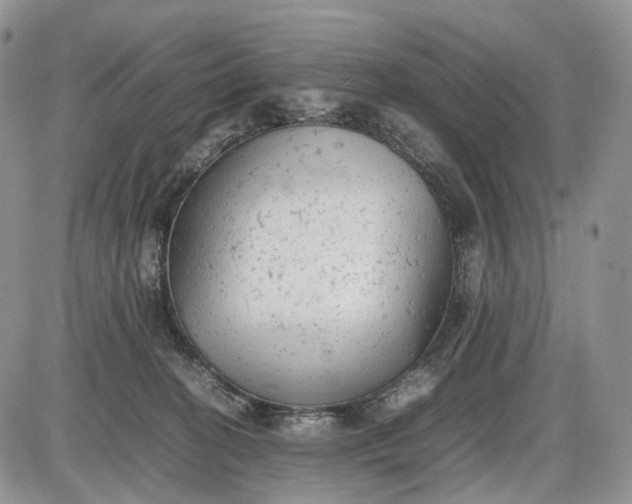 X0000085010274200703191123