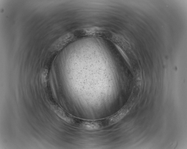 X0000085010275200703191123