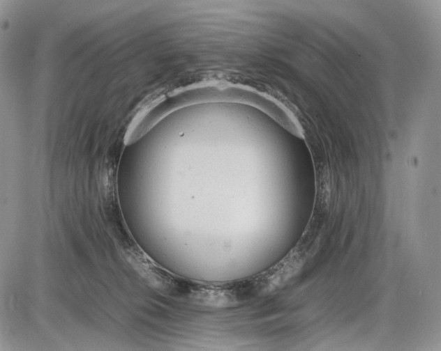 X0000085010276200703191123