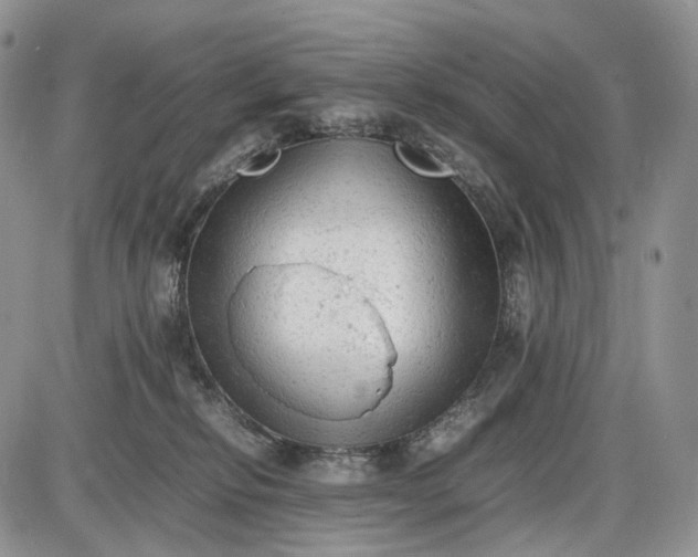 X0000085010278200703191123