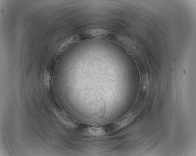 X0000085010279200703191123