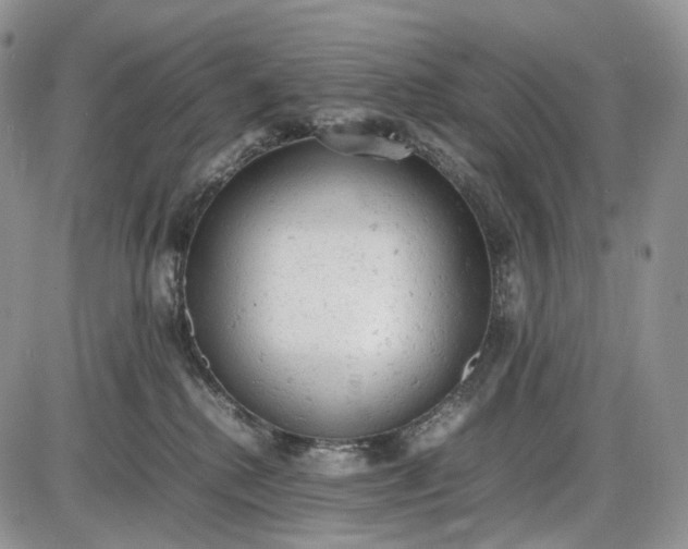 X0000085010280200703191123