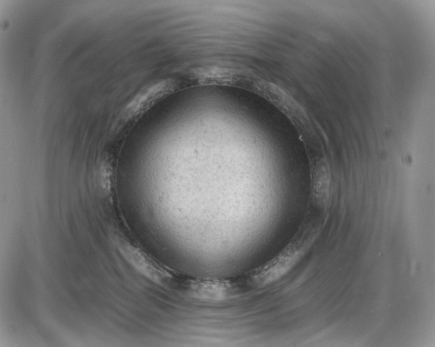 X0000085010282200703191123