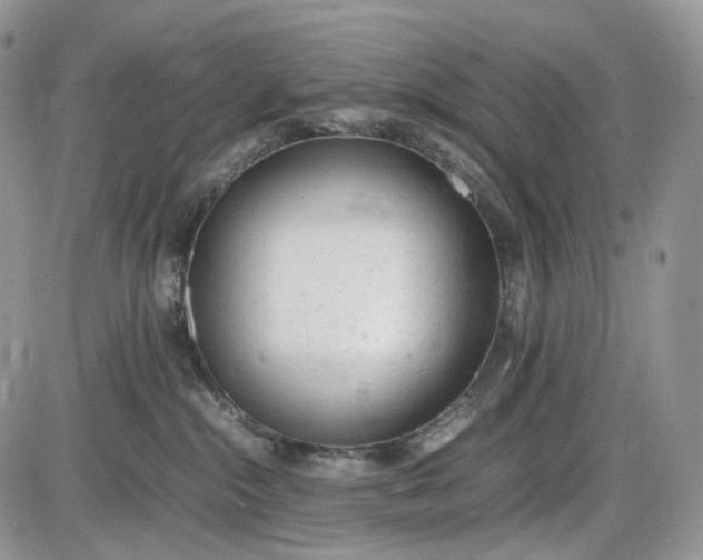 X0000085010284200703191123