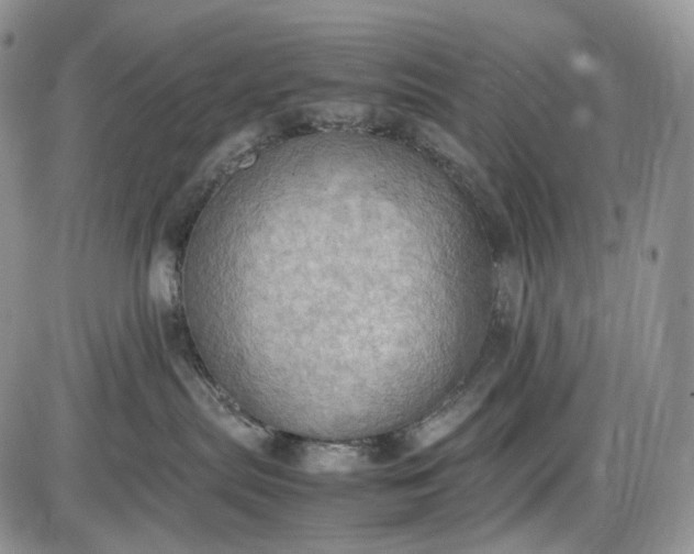 X0000085010287200703191123