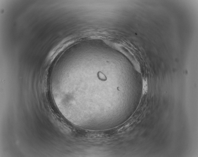 X0000085010291200703191122