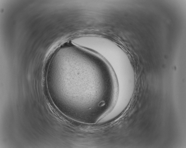 X0000085010293200703191122