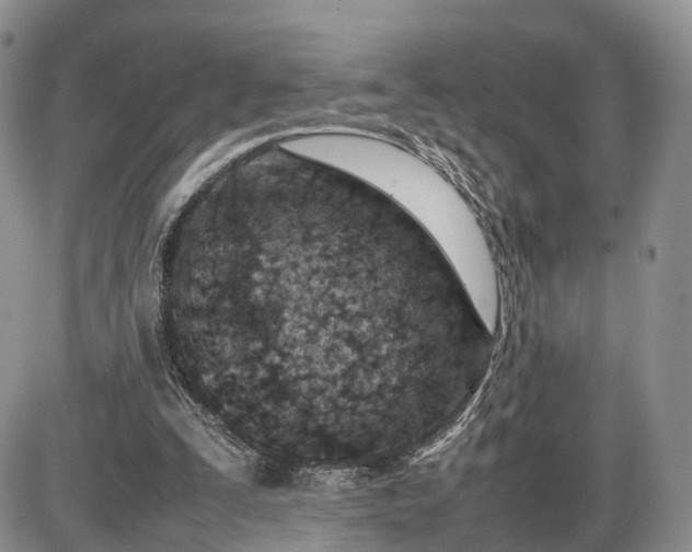 X0000085010295200703191122