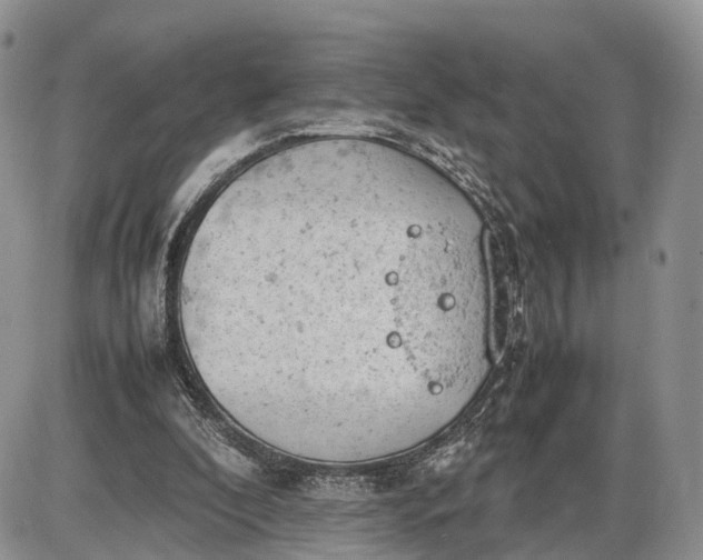 X0000085010296200703191122