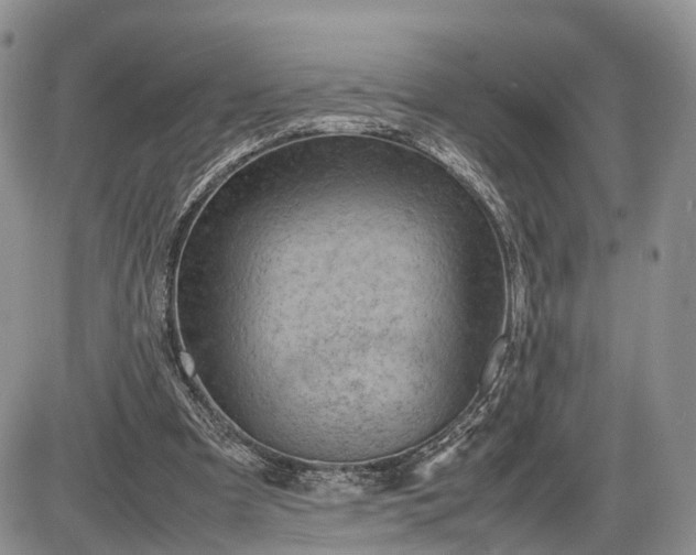 X0000085010297200703191122